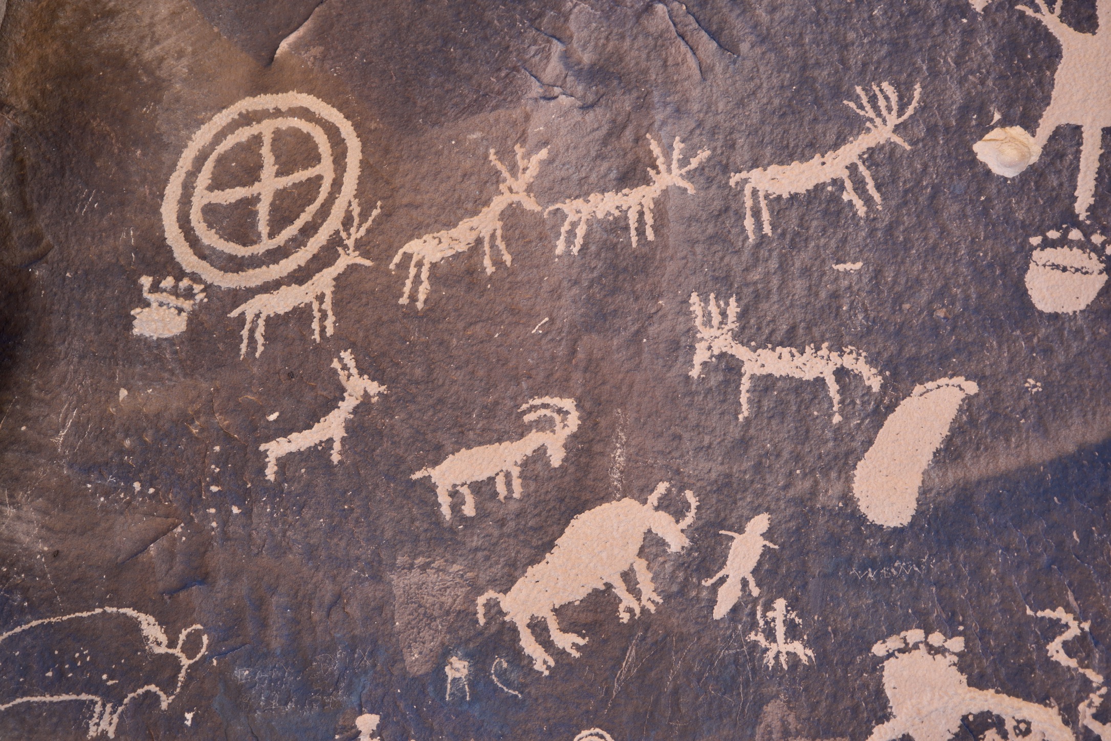 Petroglyphs at Atlatl Rock